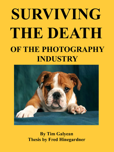 photography,industry,fail,implosion,death,of,surviving,storm,career,money,